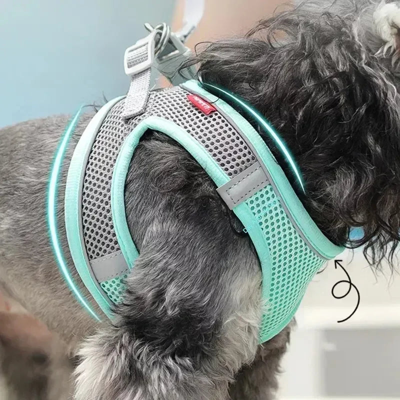 Adjustable Puppy Harness Set