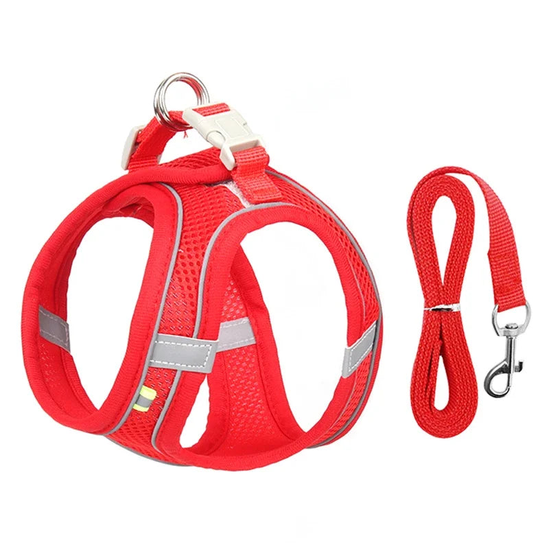 Adjustable Puppy Harness Set