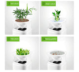 Mini Desktop Air Purifier with Negative Ions