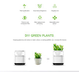 Mini Desktop Air Purifier with Negative Ions