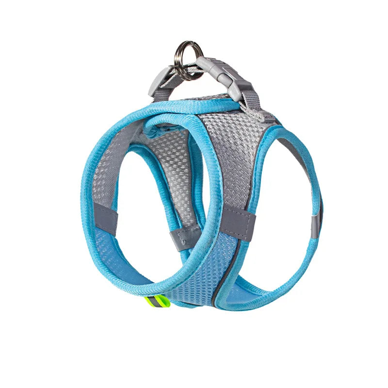 Adjustable Puppy Harness Set