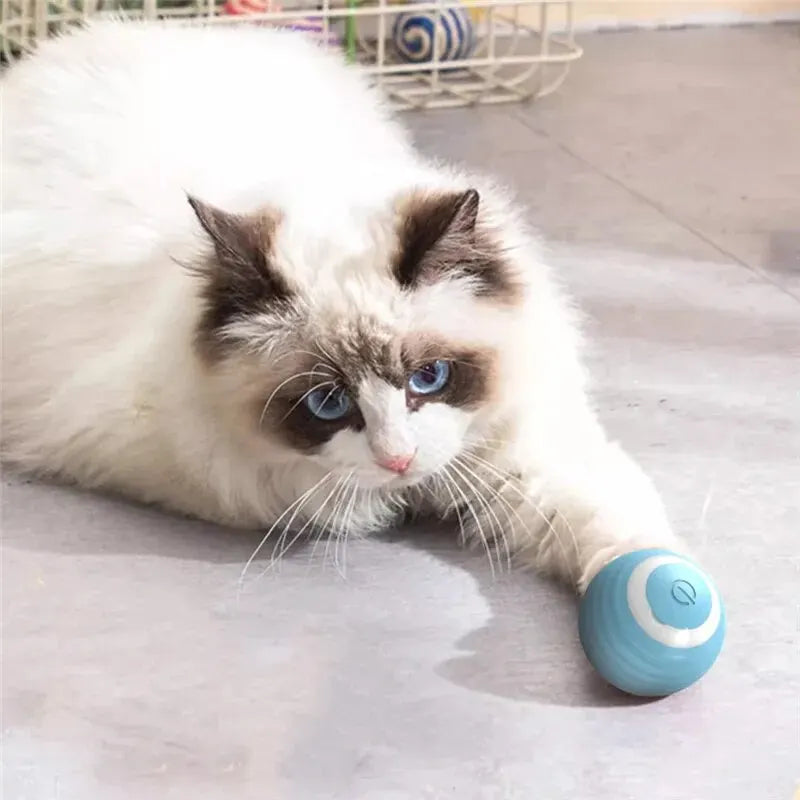 Self-Powered Rolling Cat Ball