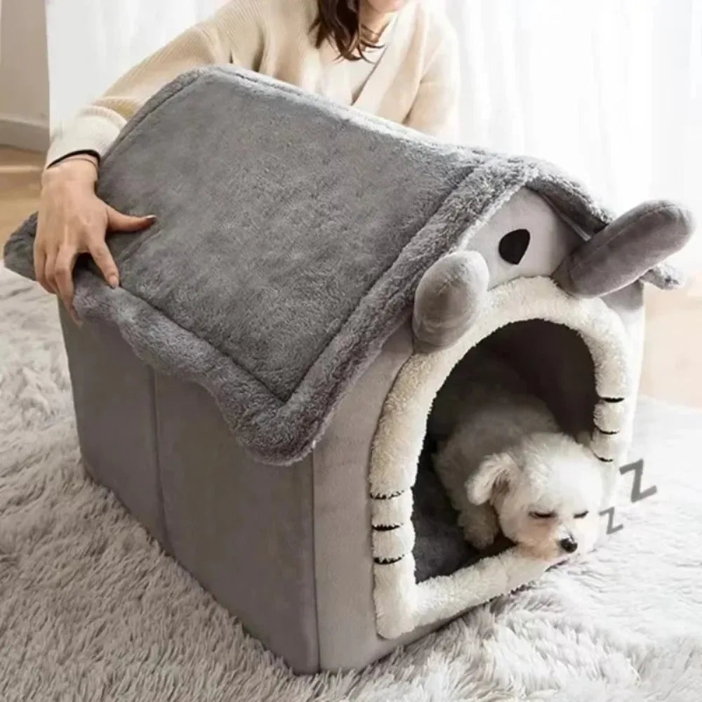 Your Cat & Dog Deserve an Addorable Home! Shop Now! 🐕🐈