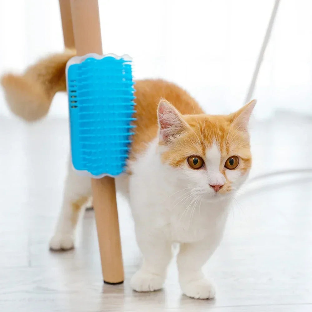 Cat Corner Brush & Scratcher