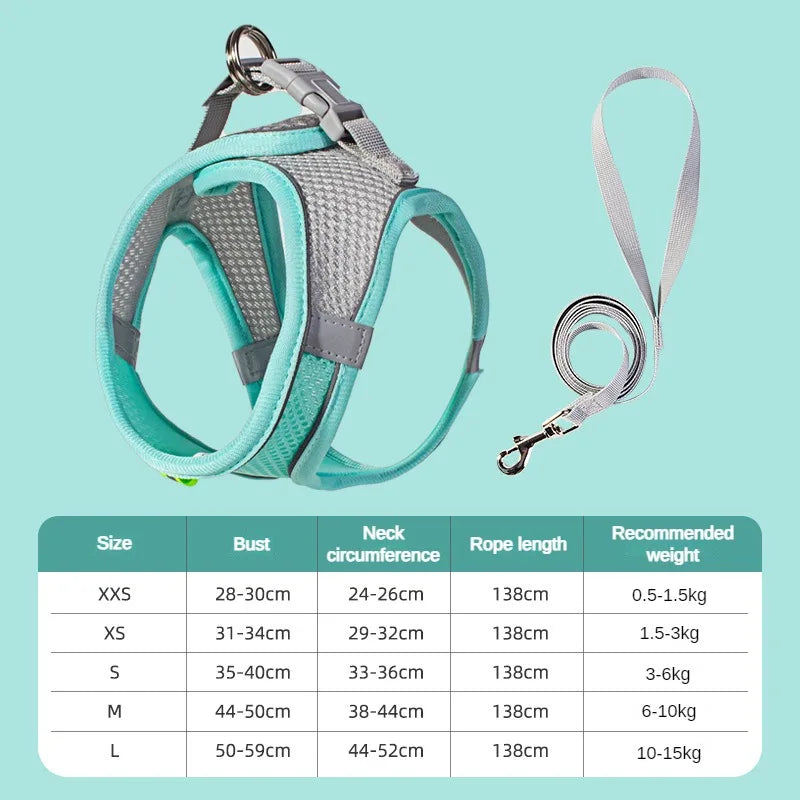 Adjustable Puppy Harness Set