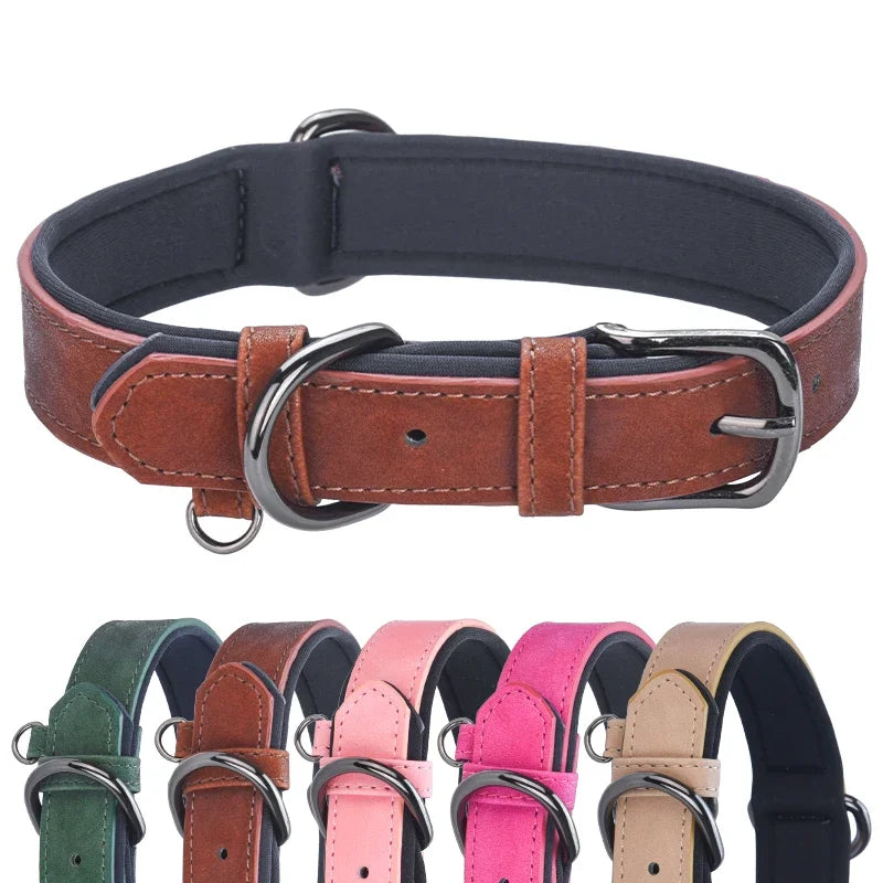 Upgrade Your Dog's Look! 🌟 Soft, Padded, and Adjustable Collars Await!