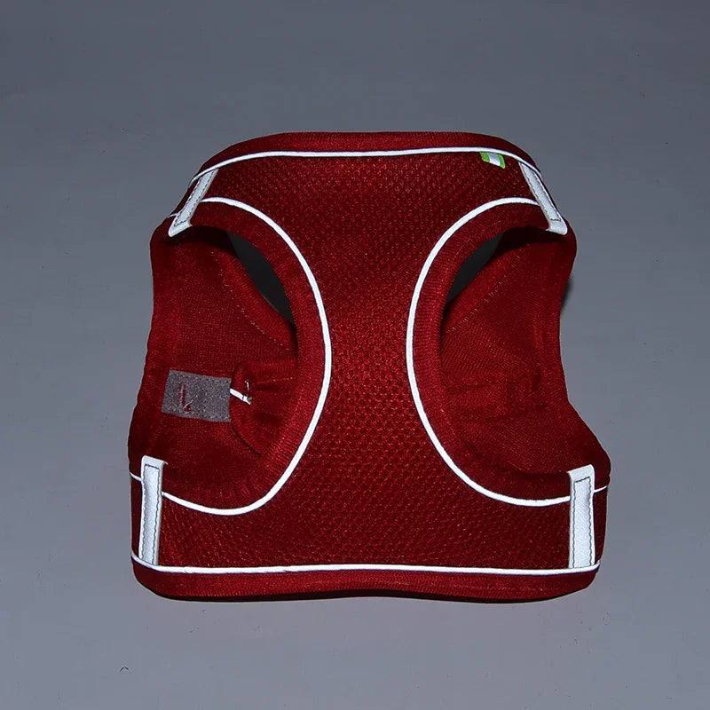 Adjustable Puppy Harness Set