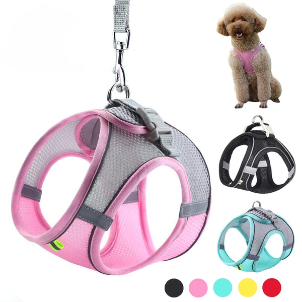 Adjustable Puppy Harness Set