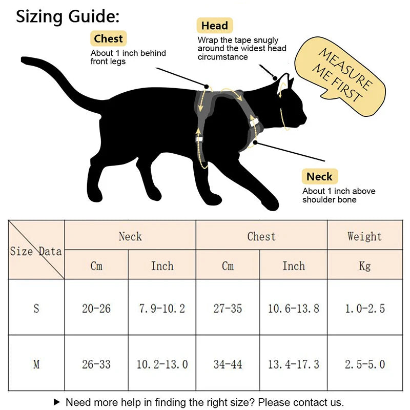 Pet Harness & Leash Set