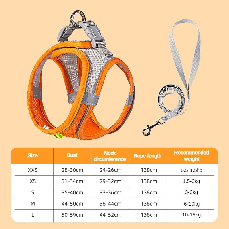 Adjustable Puppy Harness Set