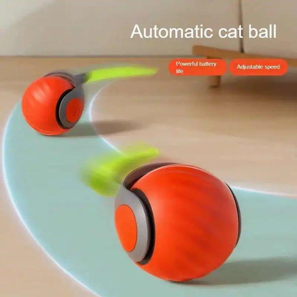 Smart Interactive Speedy Tail 2.0