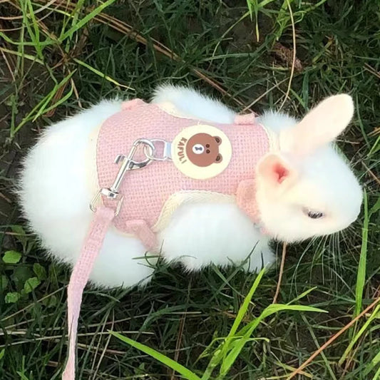 Pet Harness & Leash Set