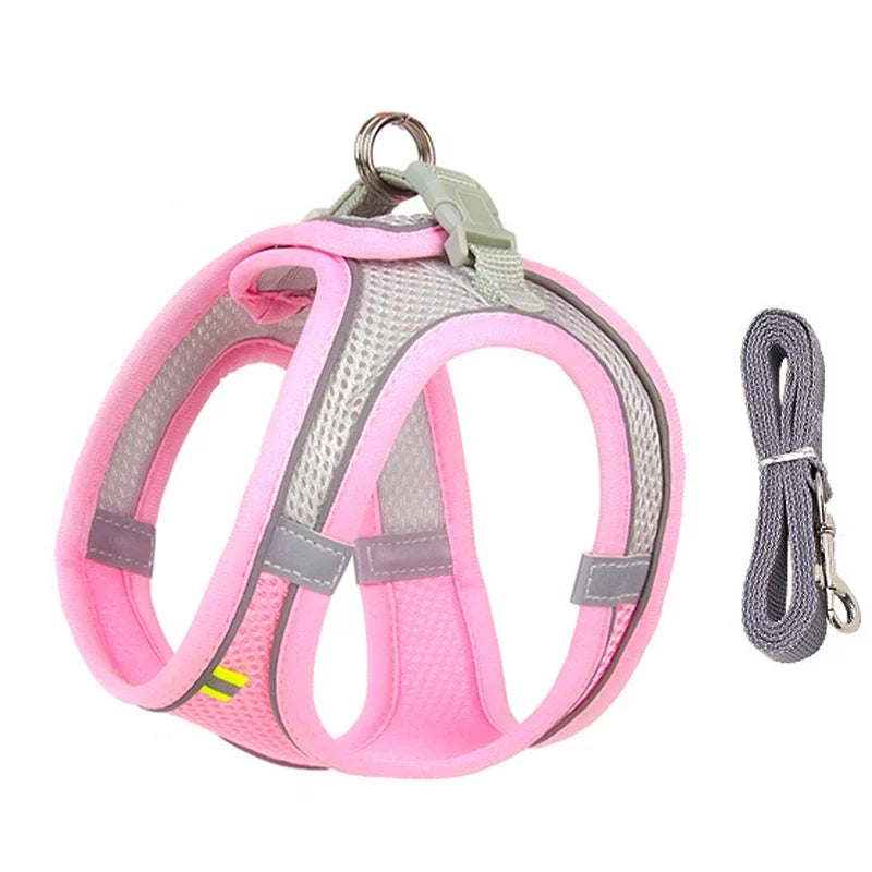 Adjustable Puppy Harness Set