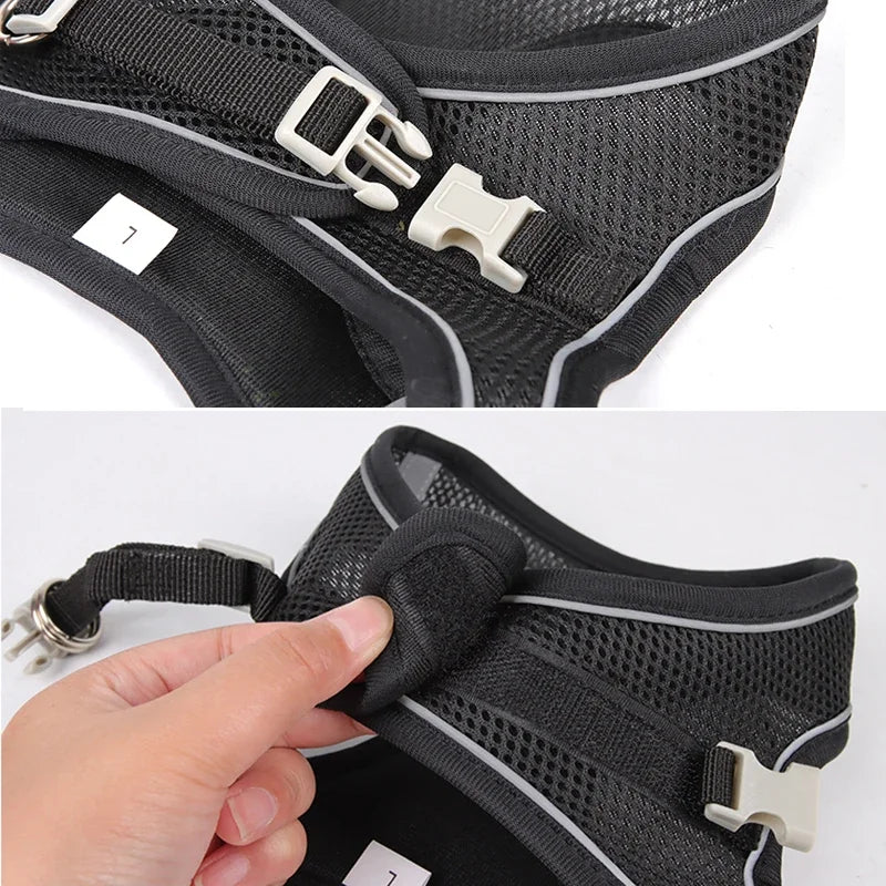 Adjustable Puppy Harness Set