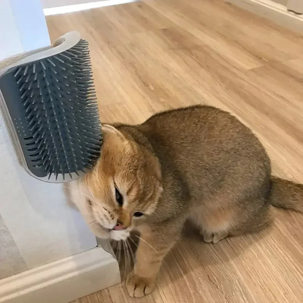 Cat Corner Brush & Scratcher
