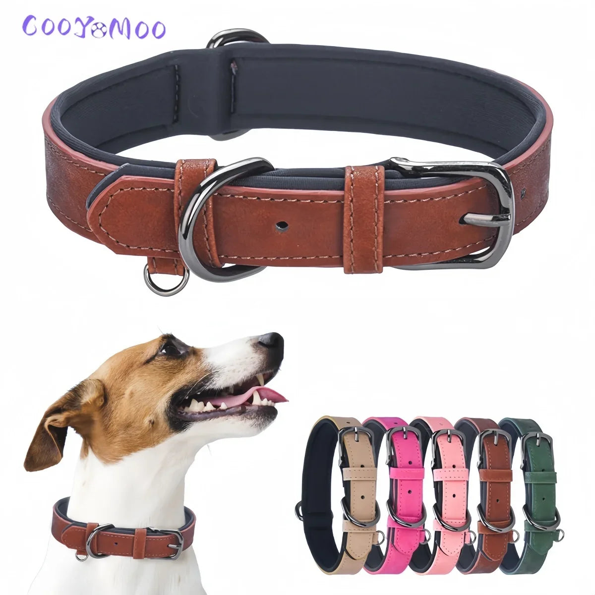 Upgrade Your Dog's Look! 🌟 Soft, Padded, and Adjustable Collars Await!