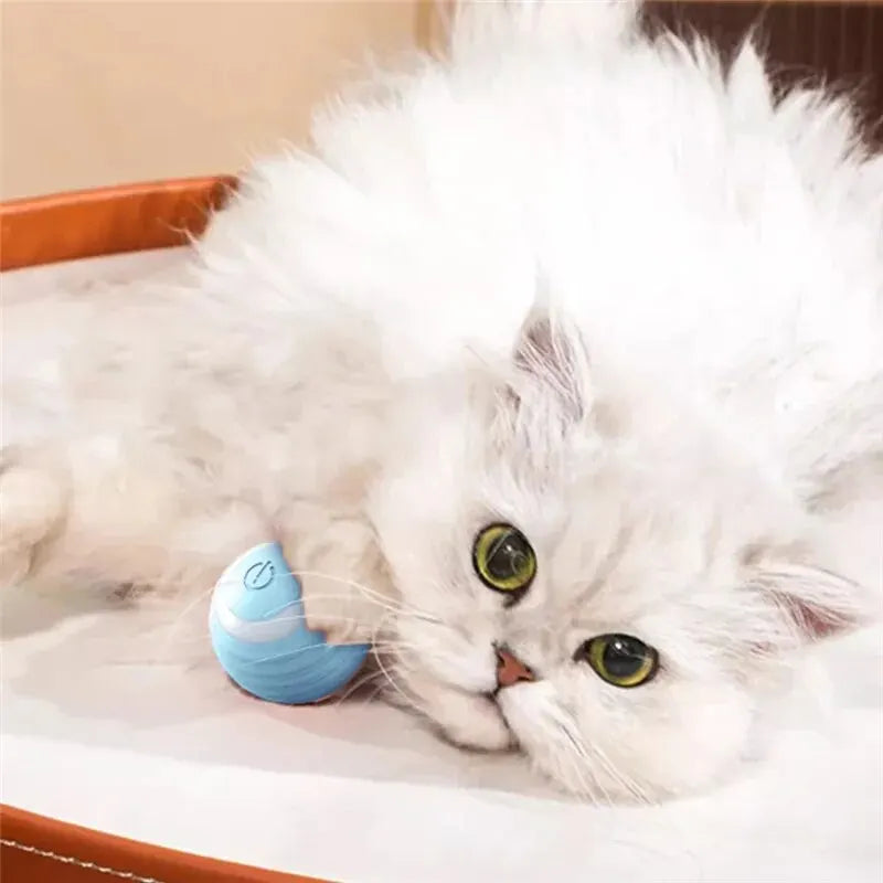 Self-Powered Rolling Cat Ball