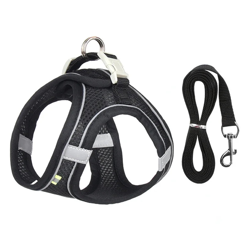 Adjustable Puppy Harness Set