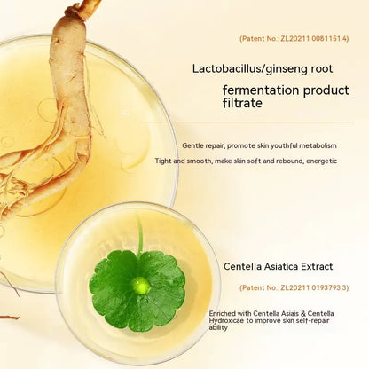 Ginseng Anti-Wrinkle Cream – Reduce Wrinkles &amp; Firm Skin Naturally