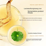 Ginseng Anti-Wrinkle Cream – Reduce Wrinkles & Firm Skin Naturally