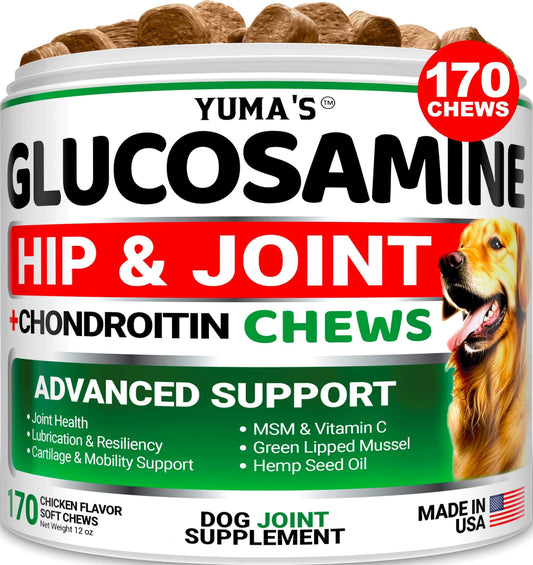 Glucosamine for Dogs   Hip and Joint Supplement for Dogs   170 Ct   Glucosamine