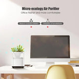 Mini Desktop Air Purifier with Negative Ions