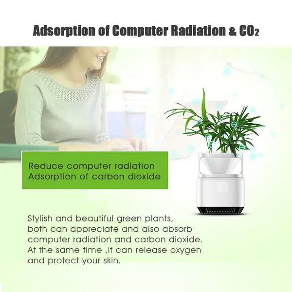 Mini Desktop Air Purifier with Negative Ions